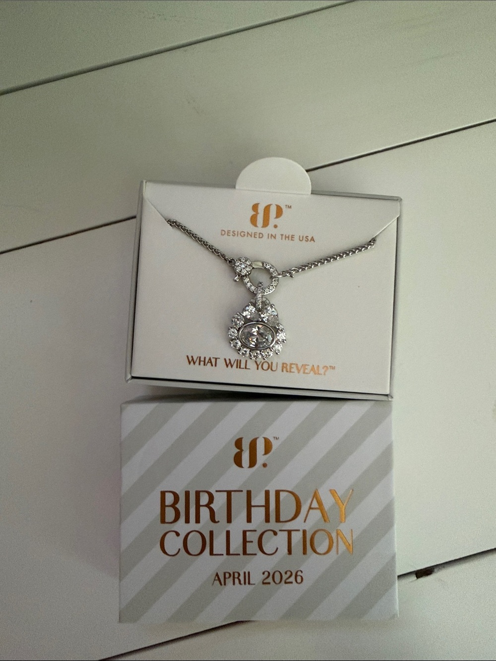 Bomb Party Birthday Collection April 2026 Silver Pendant Necklace